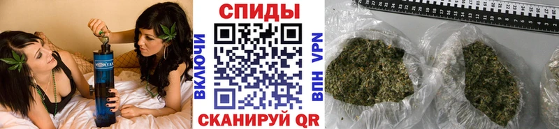 закладка  Тогучин  БУТИРАТ BDO 