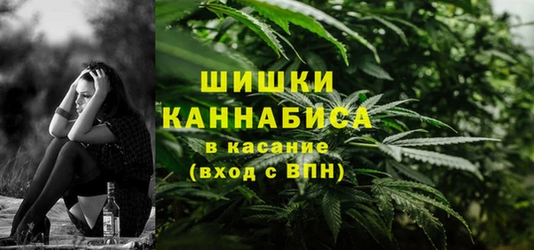 спайс Алзамай