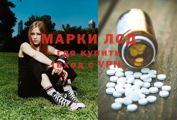 спайс Алзамай