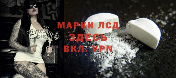 спайс Алзамай